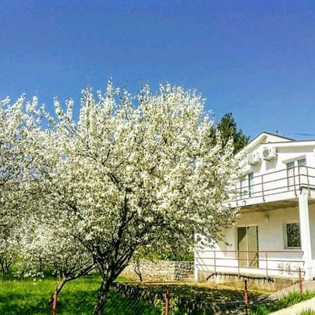 Apartments Pasha 블라카예 외부 사진