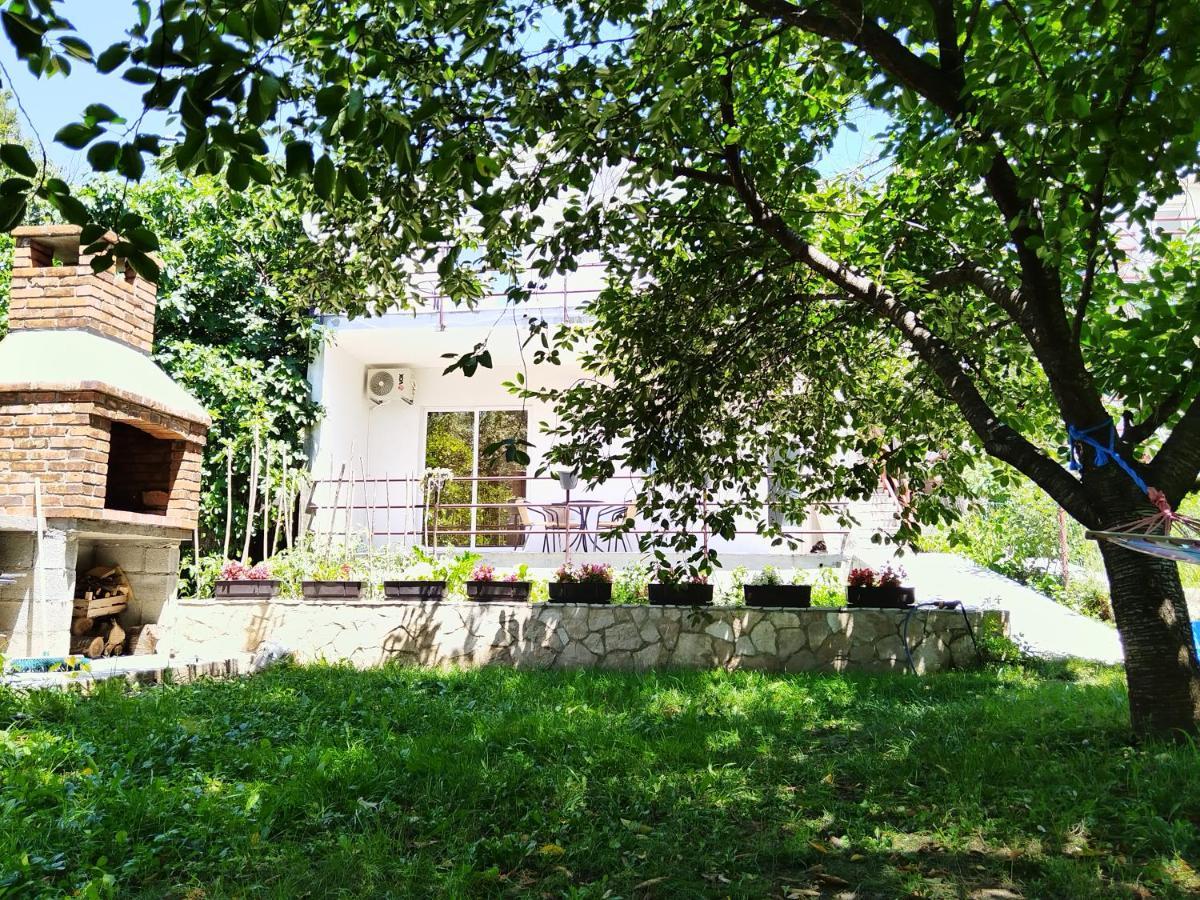 Apartments Pasha 블라카예 외부 사진