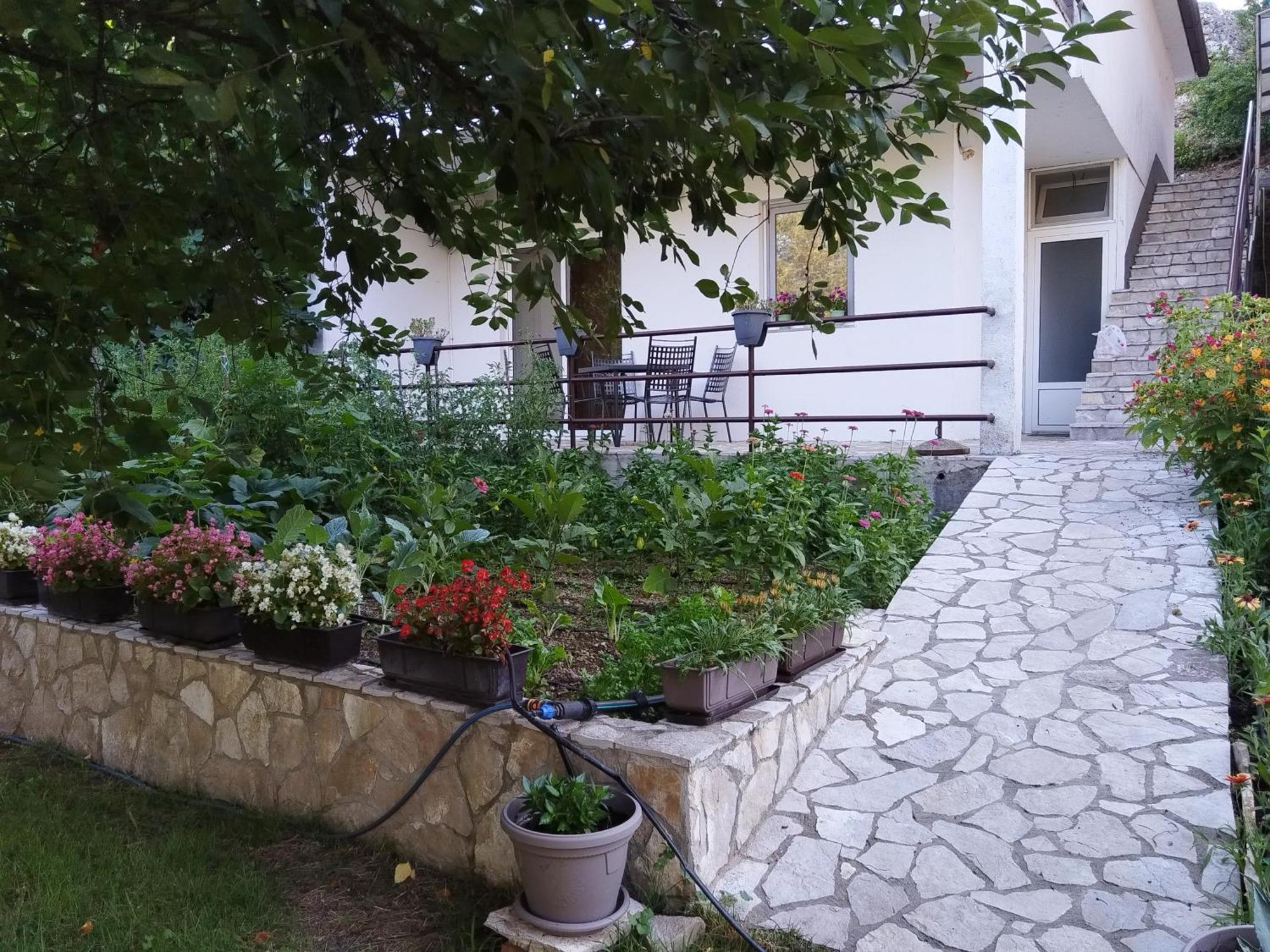 Apartments Pasha 블라카예 객실 사진