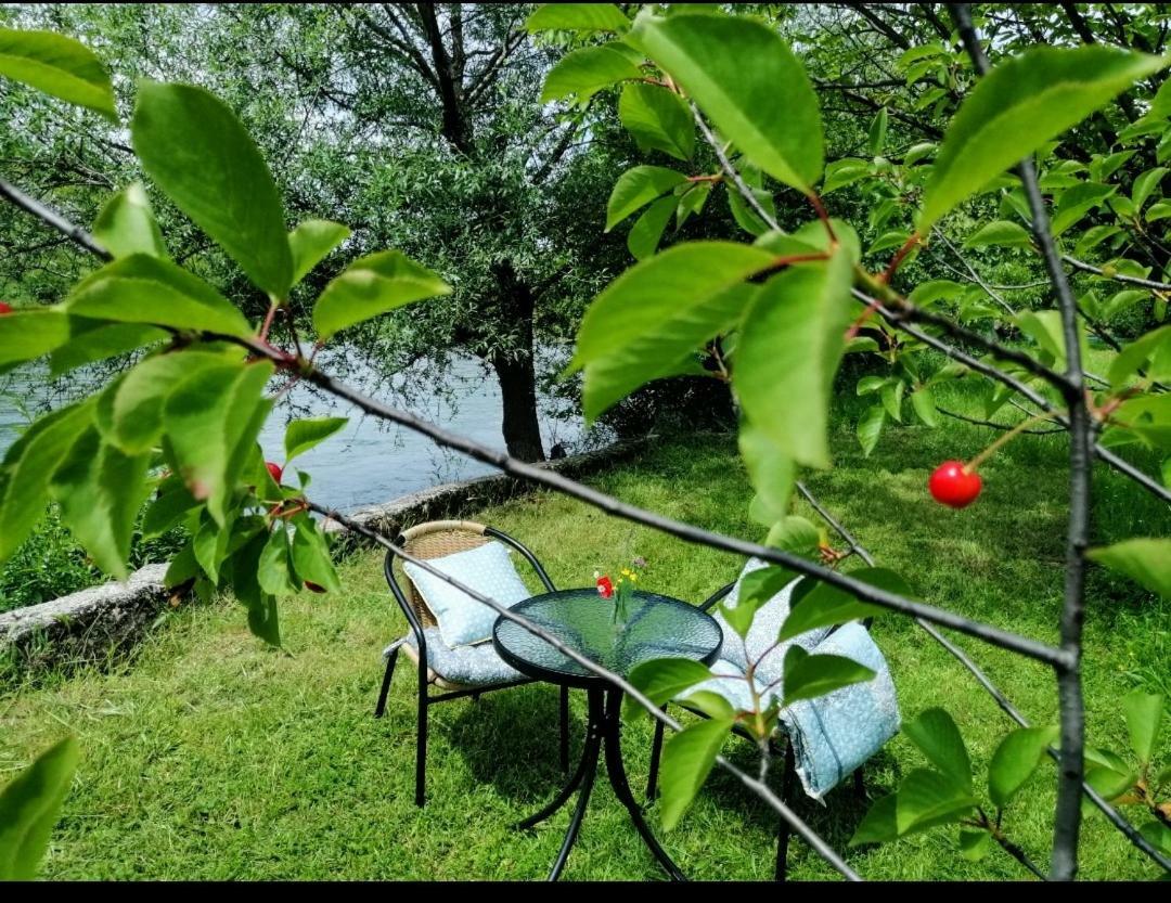 Apartments Pasha 블라카예 외부 사진